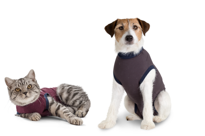 Een hond en een kat tevreden met Jacketz - Medical Body Suit